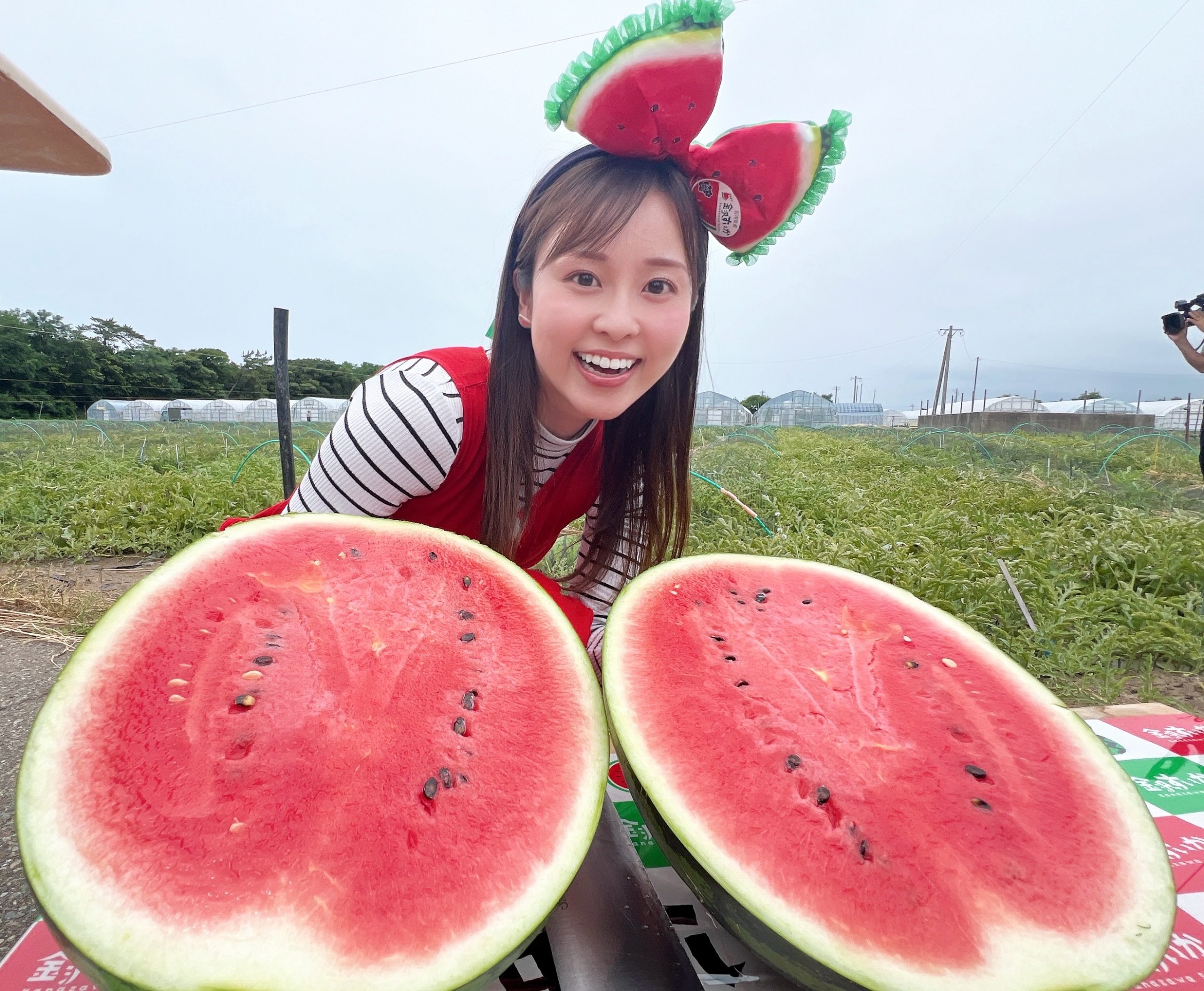 梅雨だけど・・・☔高校野球県大会も！